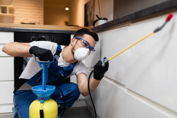 Best Bed Bug Extermination  in Mount Carmel, IL