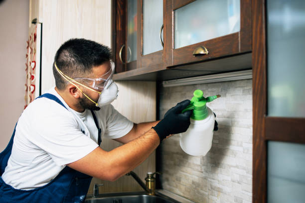 Best Wildlife Control Services  in Mount Carmel, IL