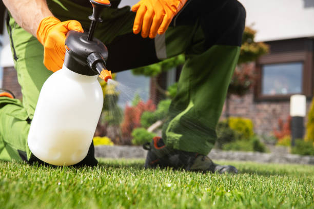 Best Pest Control Near Me  in Mount Carmel, IL