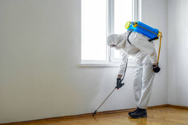 Best Residential Pest Control  in Mount Carmel, IL