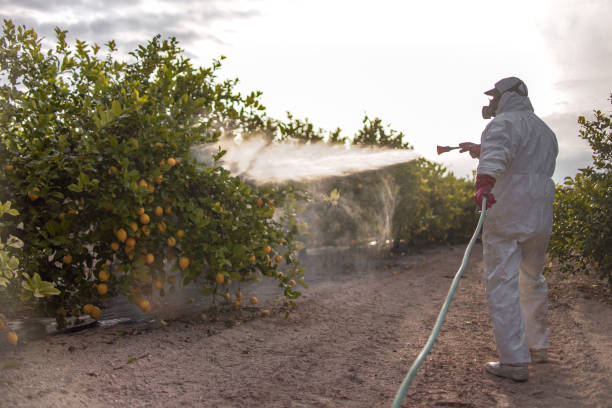 Best Best Pest Control Near Me  in Mount Carmel, IL