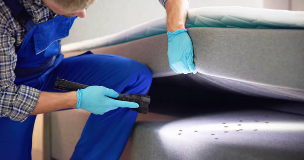 Best Termite Control Services  in Mount Carmel, IL