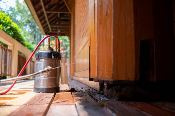 Best Affordable Pest Control Services  in Mount Carmel, IL