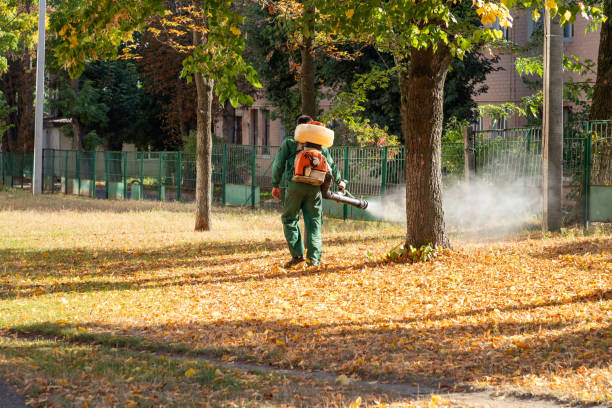 Best Insect Control  in Mount Carmel, IL