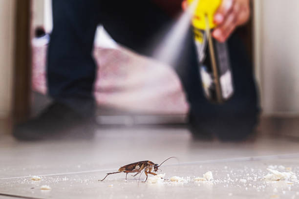 Best Pest Removal Services  in Mount Carmel, IL