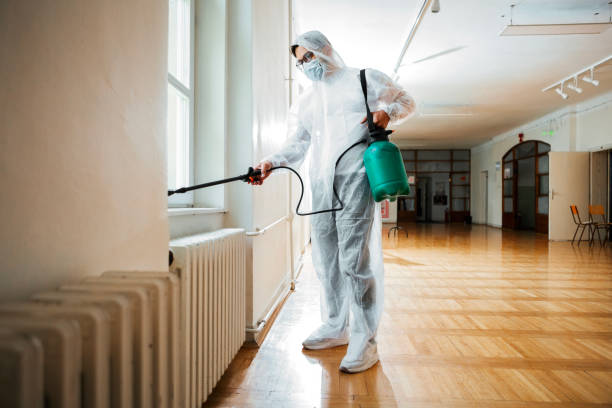 Best Spider Control Near Me  in Mount Carmel, IL