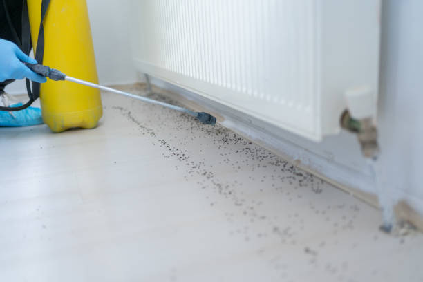 Best Pest Control Near Me in Mount Carmel, IL