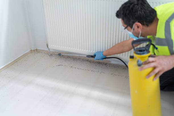 Reliable Mount Carmel, IL Pest Control Solutions