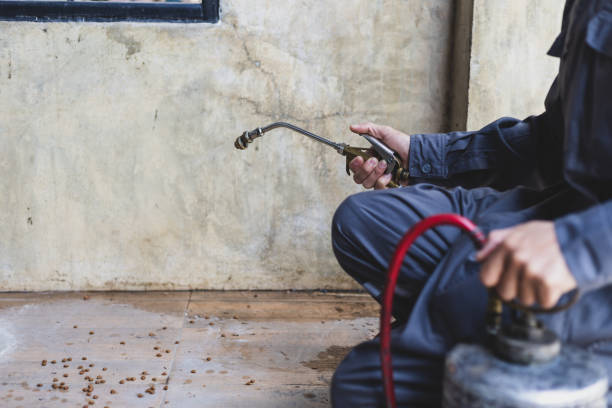 Best Flea Control Services  in Mount Carmel, IL