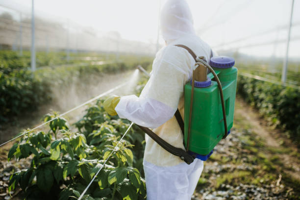 Pest Prevention Services in Mount Carmel, IL